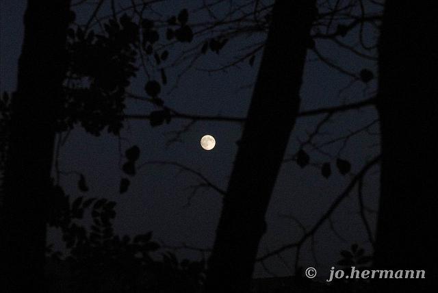 Mond im Oktober-005.jpg